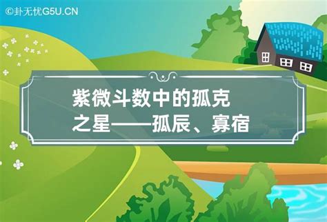 寡宿 八字|紫微斗数诸星落命宫之：孤辰、寡宿详解【命理八字实战】